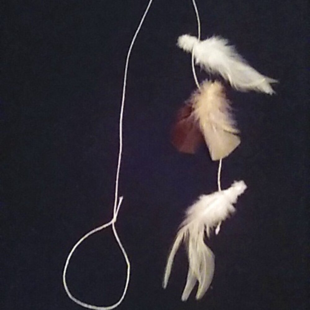 Feather Cat Toy White Rooster + Tan & Brown Feathers Hang From Door Handle New